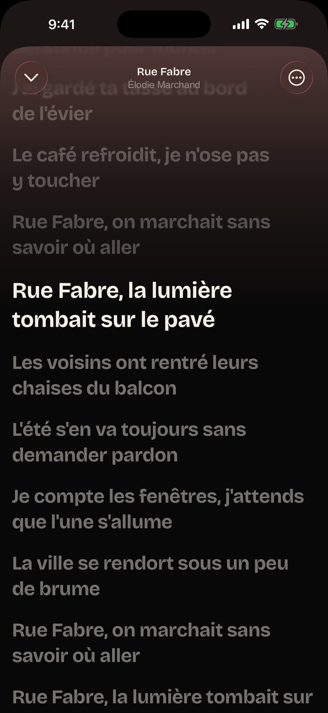 Paroles synchronisées